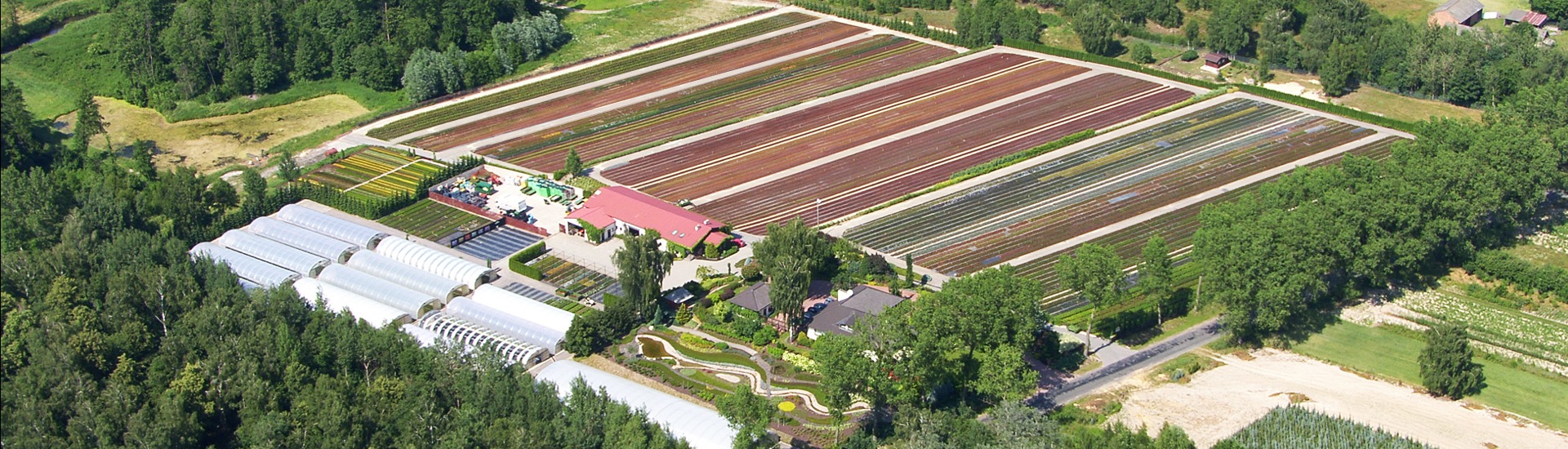 Vresovská škôlka pestovateľ sadeníc japonských azaliek Poľsko